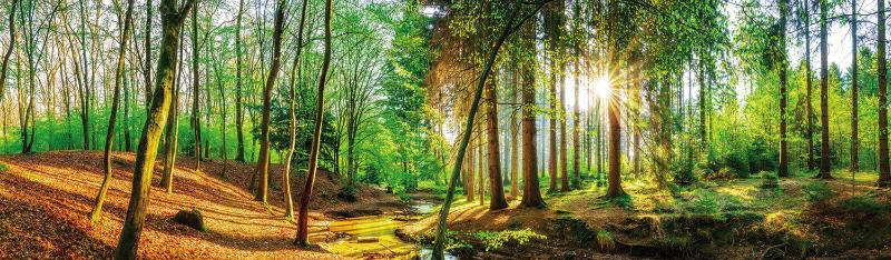 Akrylovy Skleneny Obraz Krajina Priroda Najit Online Xxxlutz