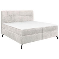 BOXSPRINGBETT 160/200 cm  in Hellgrau  - Hellgrau/Schwarz, Design, Textil/Metall (160/200cm) - Esposa