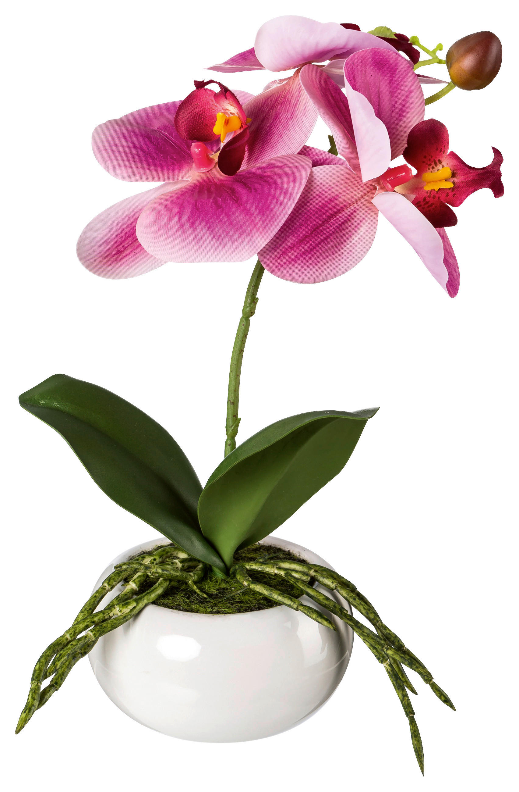 KUNSTPFLANZE Orchidee 27 cm  - Dunkelrosa/Rosa, Design, Keramik/Kunststoff (27cm)