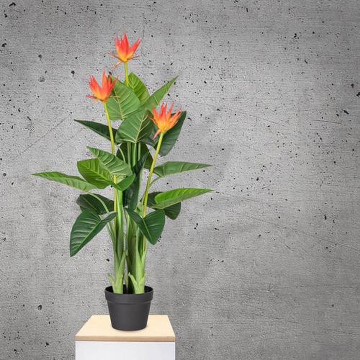 KUNSTPFLANZE 40 cm  - Schwarz/Orange, Trend, Kunststoff (40cm) - P & B