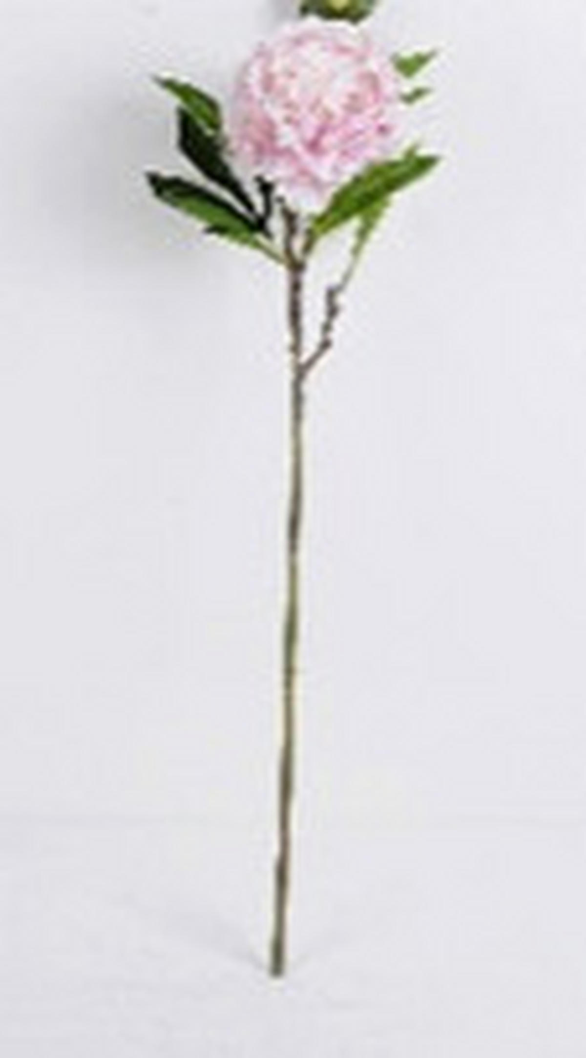 MŰNÖVÉNY - pink/fehér, Basics, műanyag