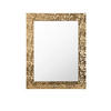 WANDSPIEGEL 55/70/2 cm    in rechteckig  - Goldfarben, LIFESTYLE, Glas/Kunststoff (55/70/2cm) - Carryhome
