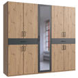 DREHTÜRENSCHRANK  in Graphitfarben, Eiche Artisan  - Schwarz/Graphitfarben, KONVENTIONELL, Glas/Holzwerkstoff (225/208/58cm) - Carryhome
