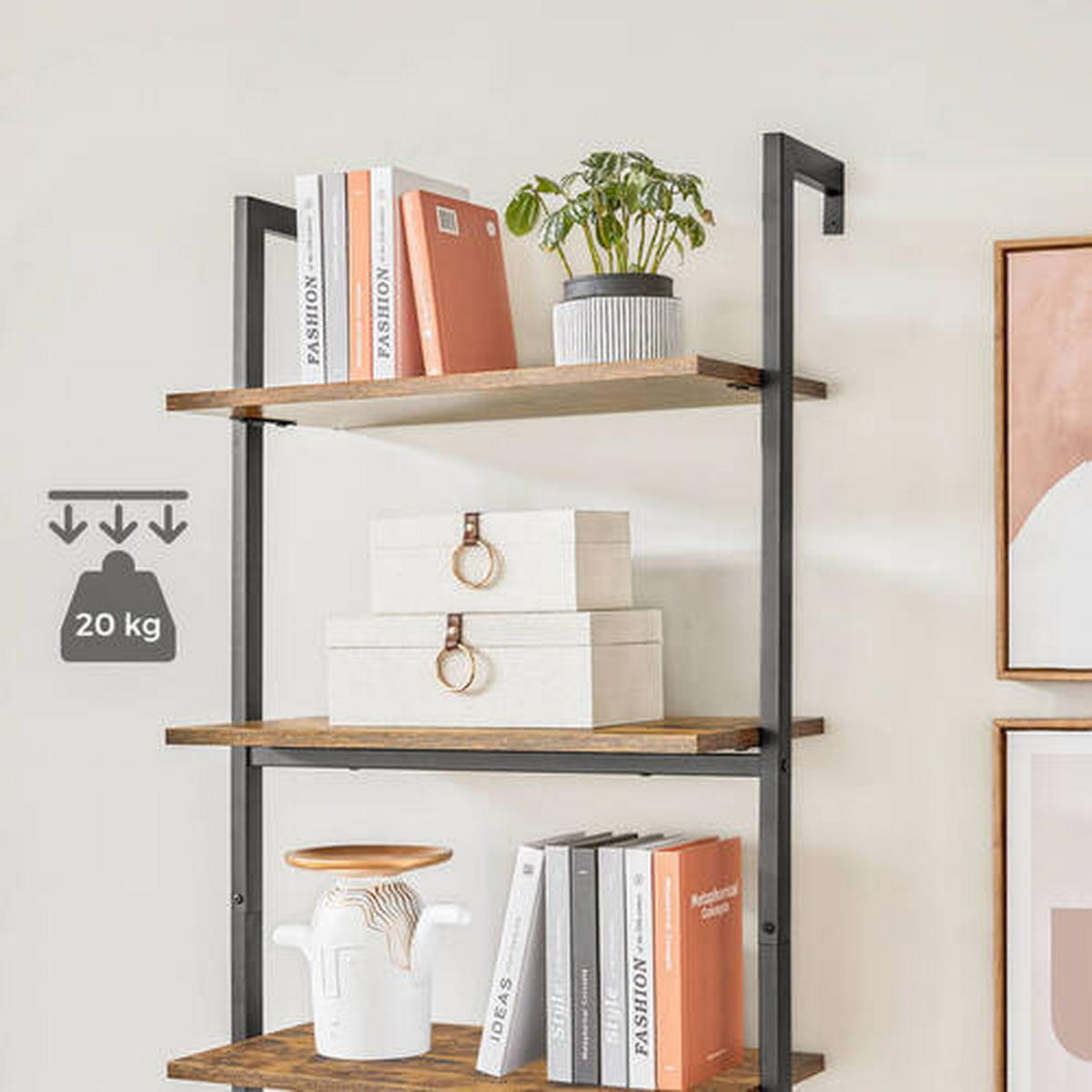 REGAL Braun, Schwarz  60/204,8/30 cm  - Schwarz/Braun, Trend, Holzwerkstoff (60/204,8/30cm) - Boxxx