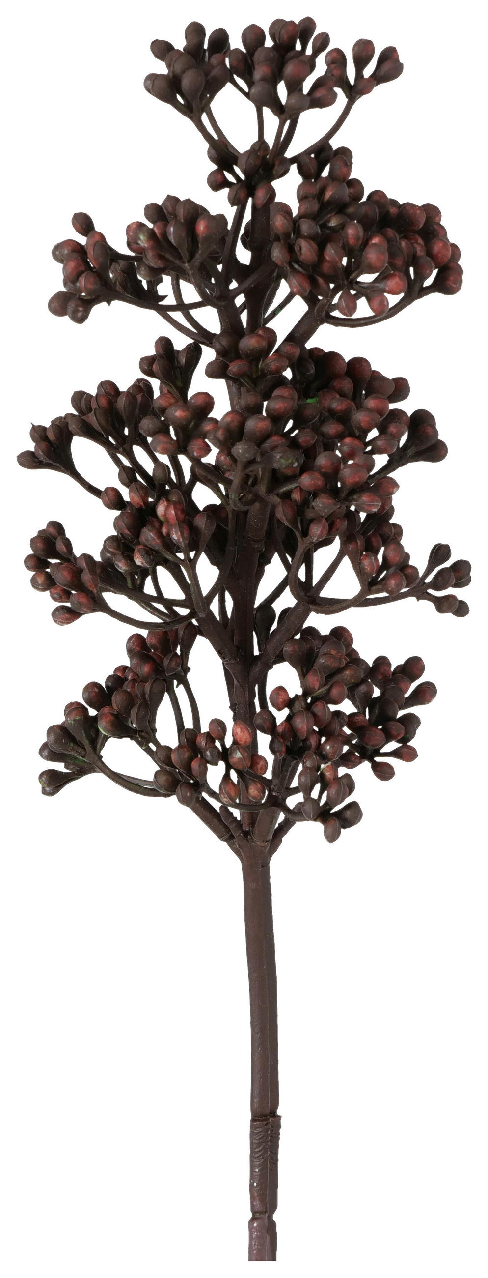 DEKOZWEIG - Hellbraun/Braun, LIFESTYLE, Kunststoff (7/54/8cm)