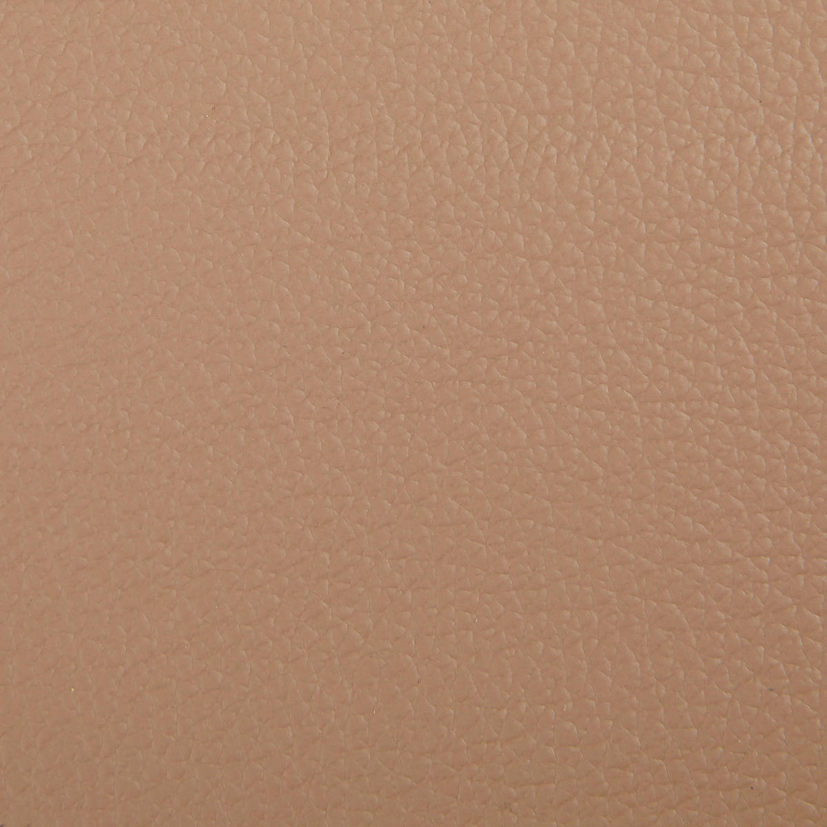 SESSEL in Echtleder Cappuccino  - Chromfarben/Cappuccino, Design, Leder/Metall (99/78-92/106cm) - Livetastic