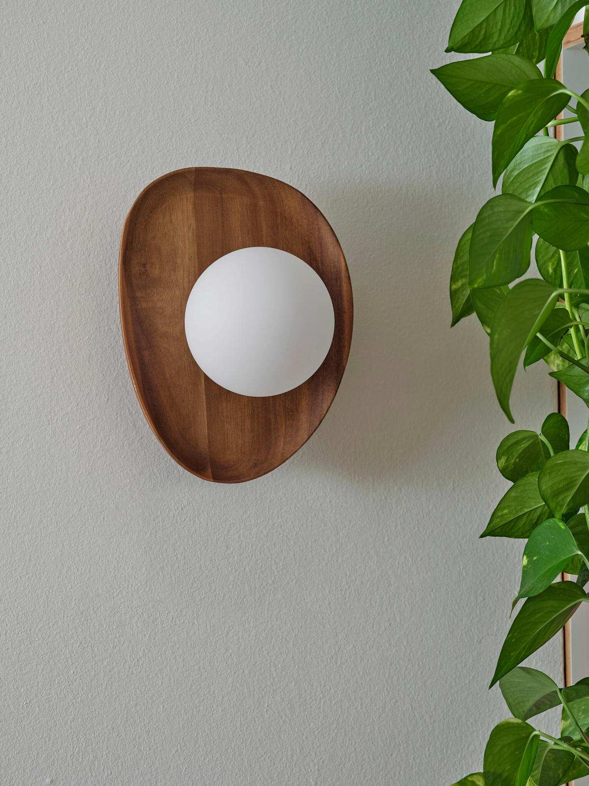 WANDLEUCHTE 20/13,5/26 cm   - Akaziefarben, Basics, Glas/Holz (20/13,5/26cm) - Osram
