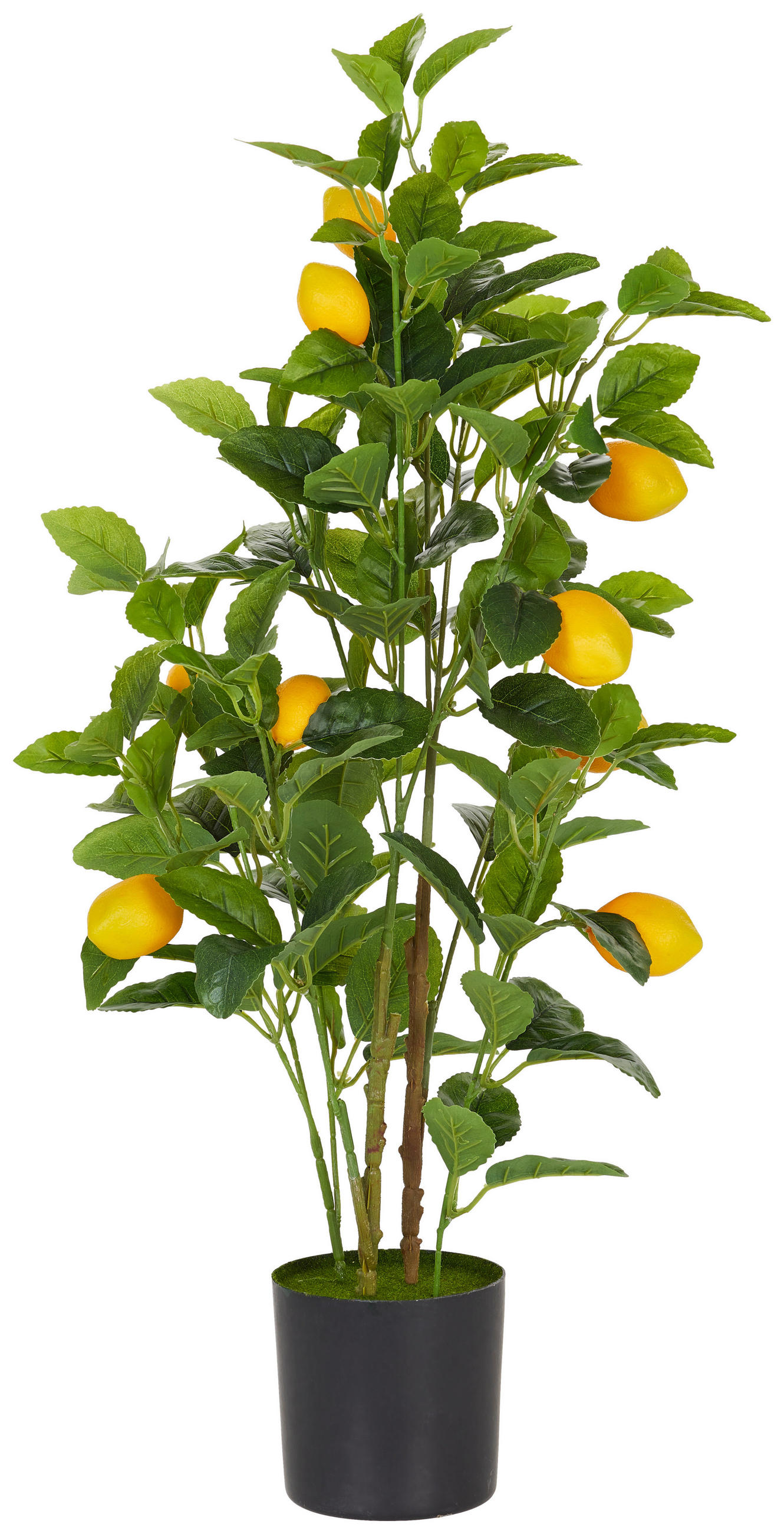 KUNSTPFLANZE 75 cm  - Gelb/Schwarz, LIFESTYLE, Papier/Kunststoff (75cm)