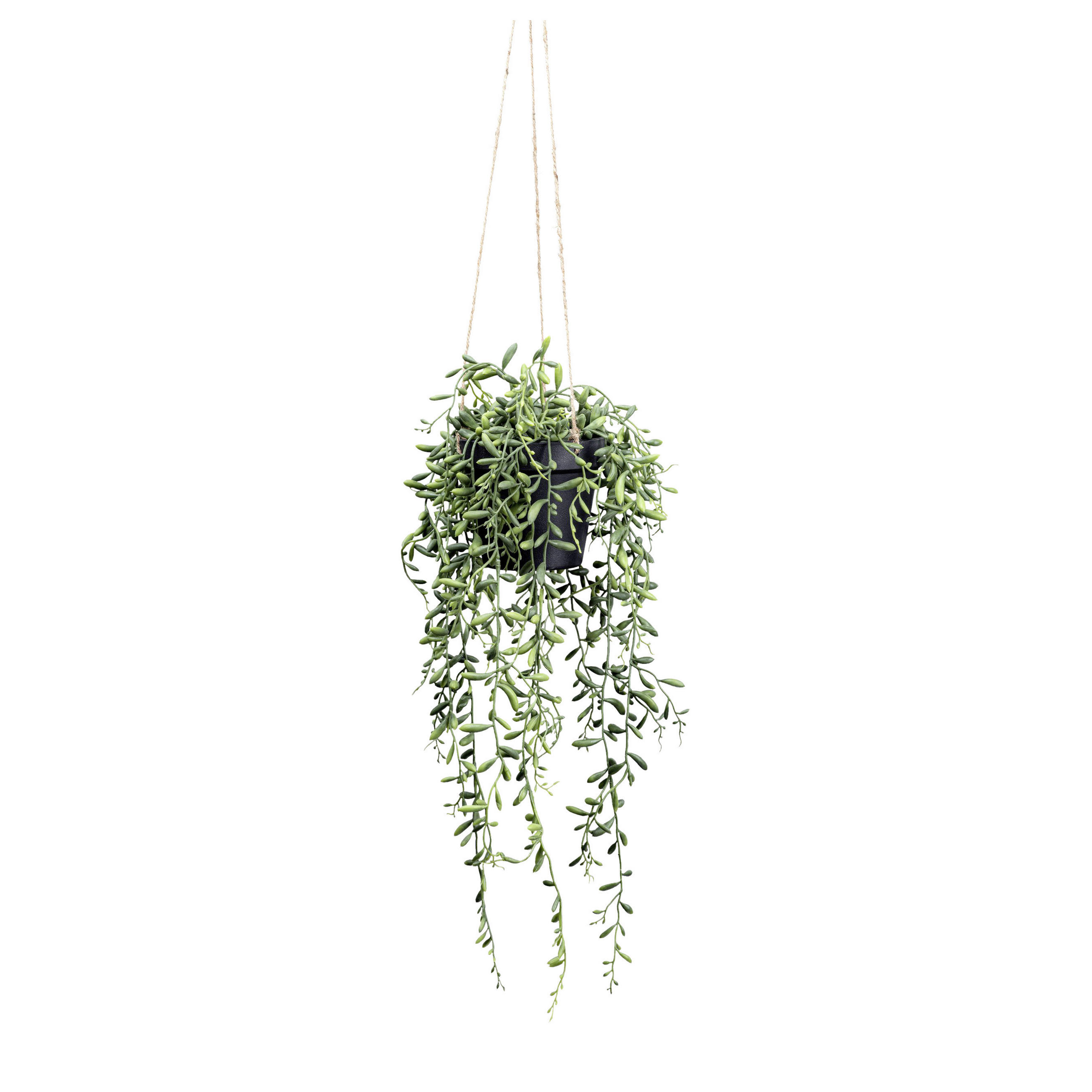 KUNSTPFLANZE 55 cm  - Schwarz/Grün, Design, Kunststoff (55cm) - P & B