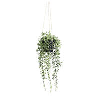 KUNSTPFLANZE 55 cm  - Schwarz/Grün, Design, Kunststoff (55cm) - P & B