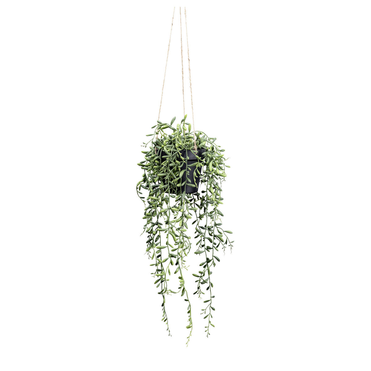 KUNSTPFLANZE 55 cm  - Schwarz/Grün, Design, Kunststoff (55cm) - P & B