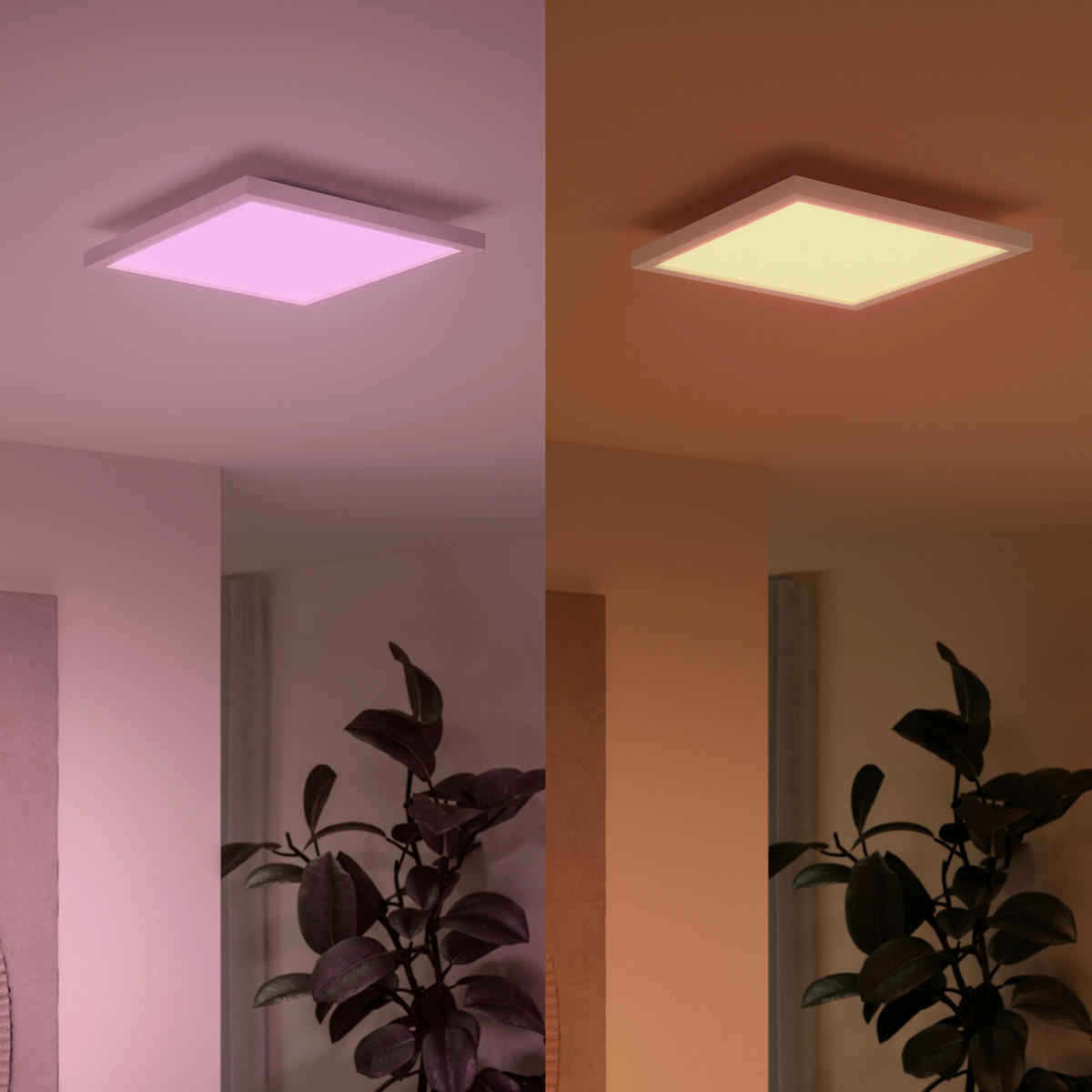 LED-DECKENLEUCHTE WACA Surimu 60/4,8/60 cm  - Weiß, Design, Metall (60/4,8/60cm) - Philips HUE