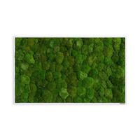 MOSSBILD Stylegreen  - vit/grön, Basics, trä/naturmaterial (100/60/7cm)