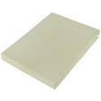 SPANNLEINTUCH 180-200/200 cm Jersey  - Hellgrün, Basics, Textil (180-200/200cm) - Novel