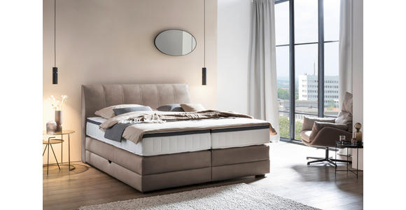 BOXSPRINGBETT 160/200 cm  in Mokka  - Wengefarben/Mokka, KONVENTIONELL, Holz/Textil (160/200cm) - Novel