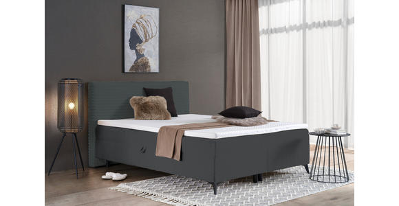 BOXBETT 160/200 cm in Dunkelgrau - Dunkelgrau/Schwarz, Design, Holz/Holzwerkstoff (160/200cm) - Xora