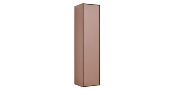 GARDEROBENSCHRANK RENO  in 42/170/41 cm  - Braun, Design, Holzwerkstoff (42/170/41cm) - Voleo
