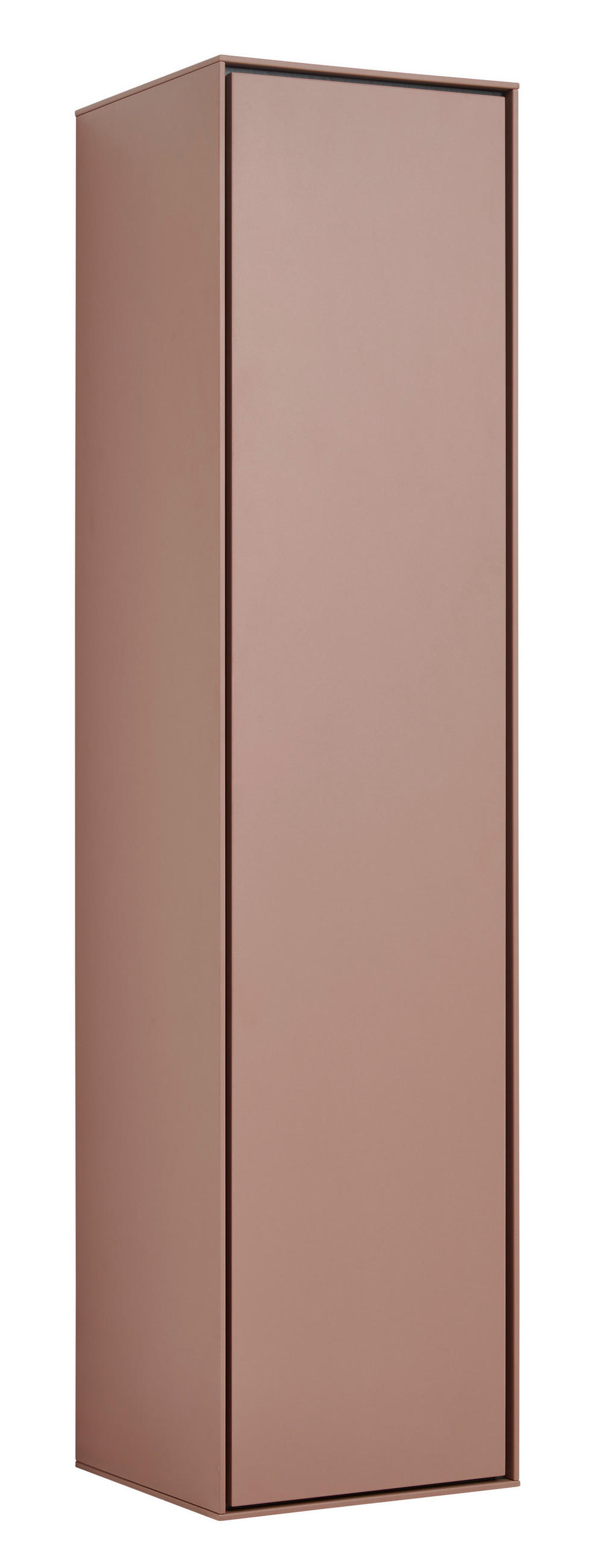 Voleo SKŘÍŇ NA ODĚV, hnědá, 42/170/41 cm