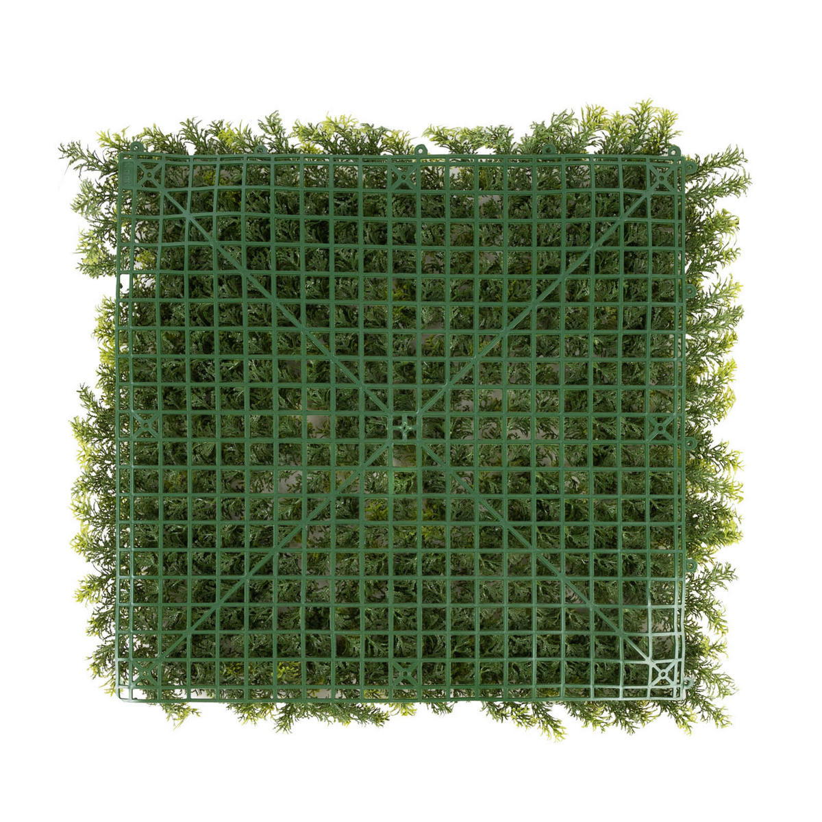 WANDVERKLEIDUNG  - Waldgrün/Dunkelgrün, Trend, Kunststoff (50/50cm) - Floordirekt