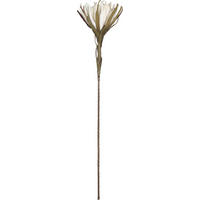 KUNSTBLUME - Braun/Grau, Basics, Kunststoff/Metall (108cm) - Ambia Home