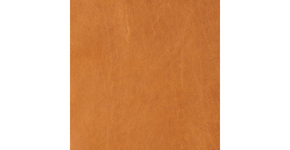 SESSEL in Echtleder Cognac  - Cognac/Schwarz, KONVENTIONELL, Leder/Metall (100/80/90cm) - Carryhome