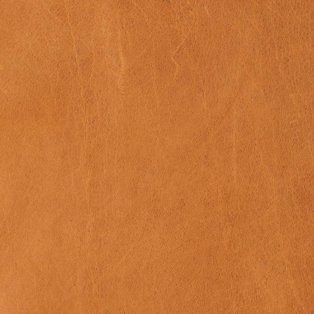 SESSEL in Echtleder Cognac  - Cognac/Schwarz, KONVENTIONELL, Leder/Metall (100/80/90cm) - Carryhome