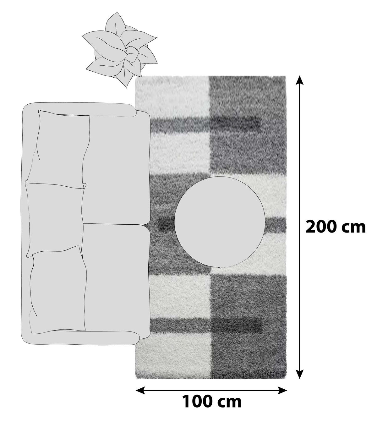 HOCHFLORTEPPICH 100/200 cm Gala 2505 Hellgrau  - Hellgrau, Design, Textil (100/200cm)