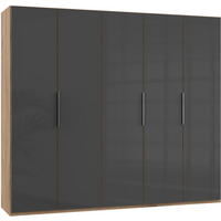 DREHTÜRENSCHRANK 250/216/58 cm 5-türig Grau, Eichefarben  - Chromfarben/Eichefarben, MODERN, Glas/Holzwerkstoff (250/216/58cm) - MID.YOU