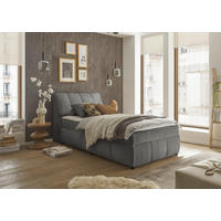 BOXBETT 120/200 cm,  in Graphitfarben, gepolstertes Kopfteil, Bettkasten, Topper,  - Schwarz/Graphitfarben, MODERN, Holzwerkstoff/Kunststoff (120/200cm) - MID.YOU