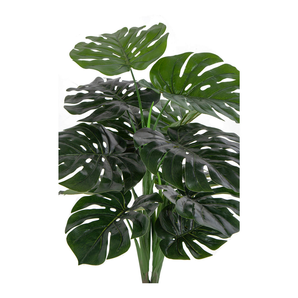 KONSTVÄXT monstera  - grön/svart, Design (18/90/17cm)