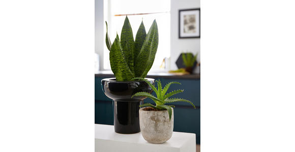 EINBAUKÜCHE   - Dunkelblau, Design, Holzwerkstoff - Novel