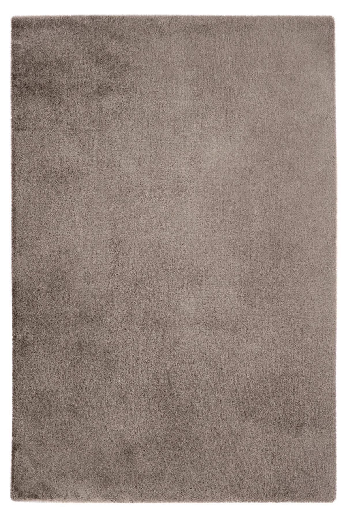 HOCHFLORTEPPICH 120/170 cm My Cha Cha Taupe  - Taupe, Basics, Textil (120/170cm) - Obsession