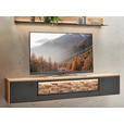 WOHNWAND  in Graphitfarben, Wildeiche  335,7/207,1/37,1 cm  - Wildeiche/Graphitfarben, Natur, Glas/Holz (335,7/207,1/37,1cm) - Valnatura