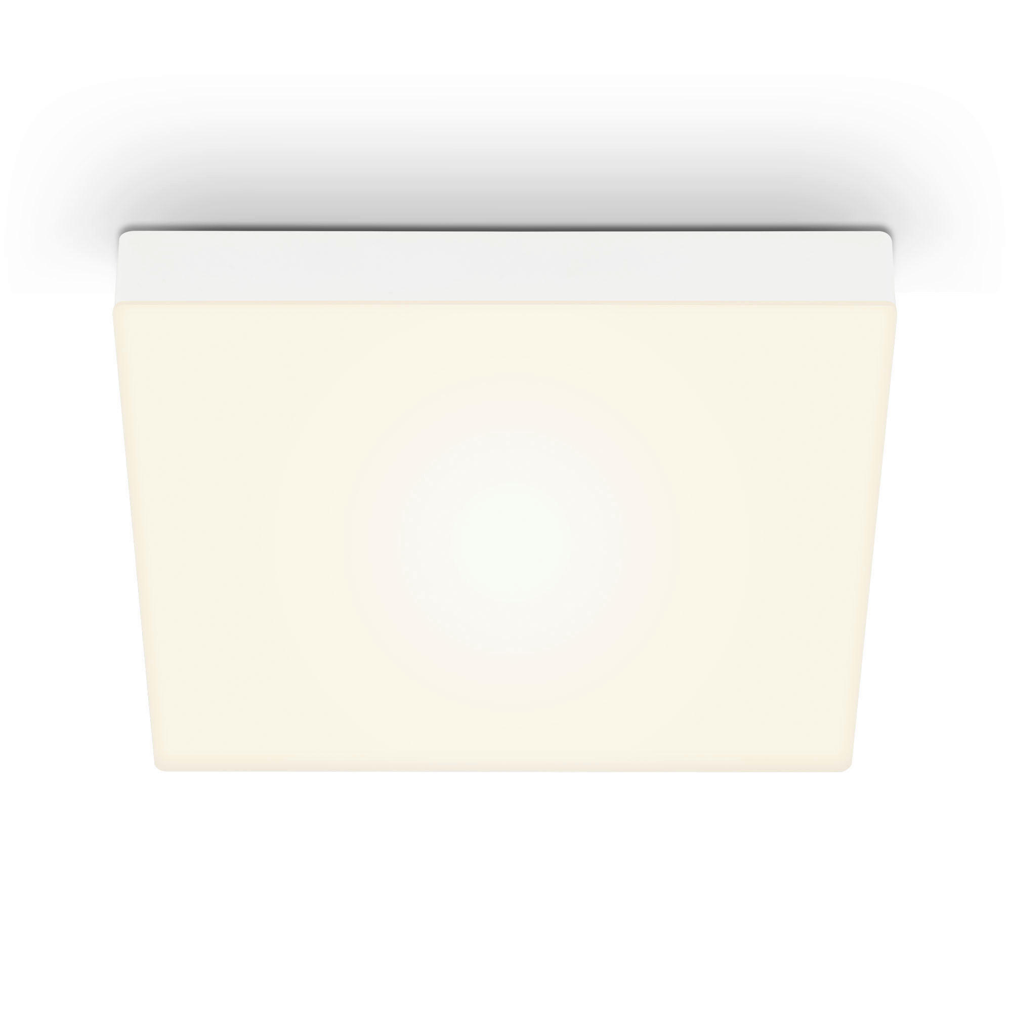 STROPNÍ LED SVÍTIDLO, 28,7/3,6/28,7 cm - bílá, Basics, kov (28,7/3,6/28,7cm)
