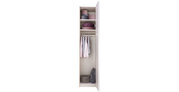 DREHTÜRENSCHRANK in Grau, Eichefarben - Eichefarben/Alufarben, KONVENTIONELL, Glas/Holzwerkstoff (51/240/63cm) - Moderano