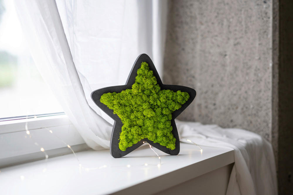 MECHOVÝ OBRAZ - černá/zelená, Basics, dřevo/přírodní materiály (26/26/2cm)