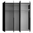 DREHTÜRENSCHRANK  in Graphitfarben  - Schwarz/Graphitfarben, MODERN, Glas/Holzwerkstoff (225/225/52cm) - Carryhome