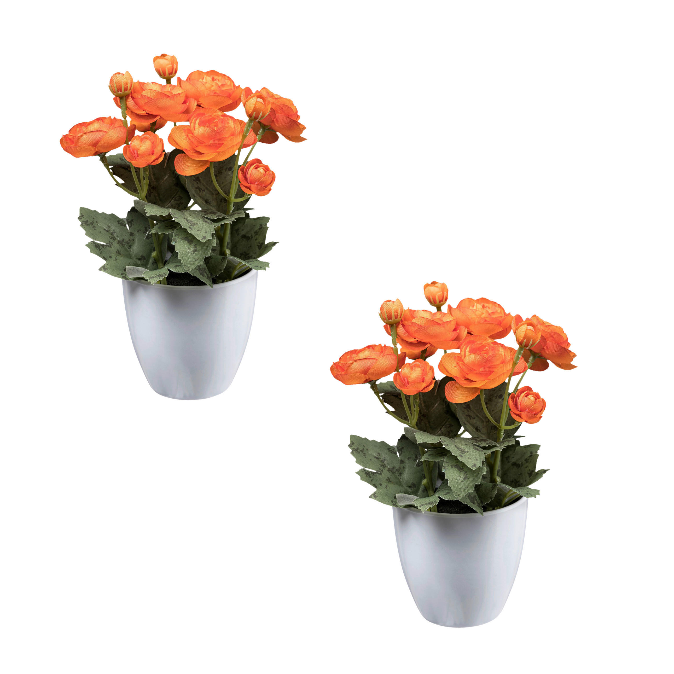 KUNSTPFLANZE Ranunkel 20 cm  - Orange/Weiß, Design, Keramik/Kunststoff (20cm) - P & B