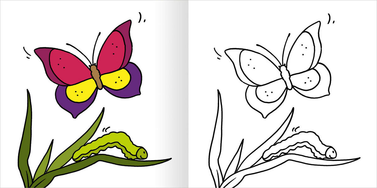 MALBUCH  - Multicolor, Basics, Papier (20,8/20,8/1cm)