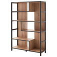 REGAL Anthrazit, Eichefarben - Eichefarben/Anthrazit, Design, Holzwerkstoff (116/175/40cm) - Carryhome