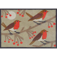 OTIRAČ 60/85 cm   višebojno  Red Robins  - višebojno, Basics, tekstil/plastika (60/85cm) - wash+dry