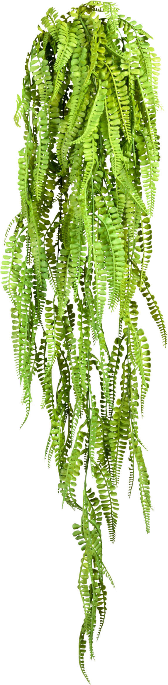 KUNSTPFLANZE 105 cm  - Grün, Design, Kunststoff (105cm) - P & B