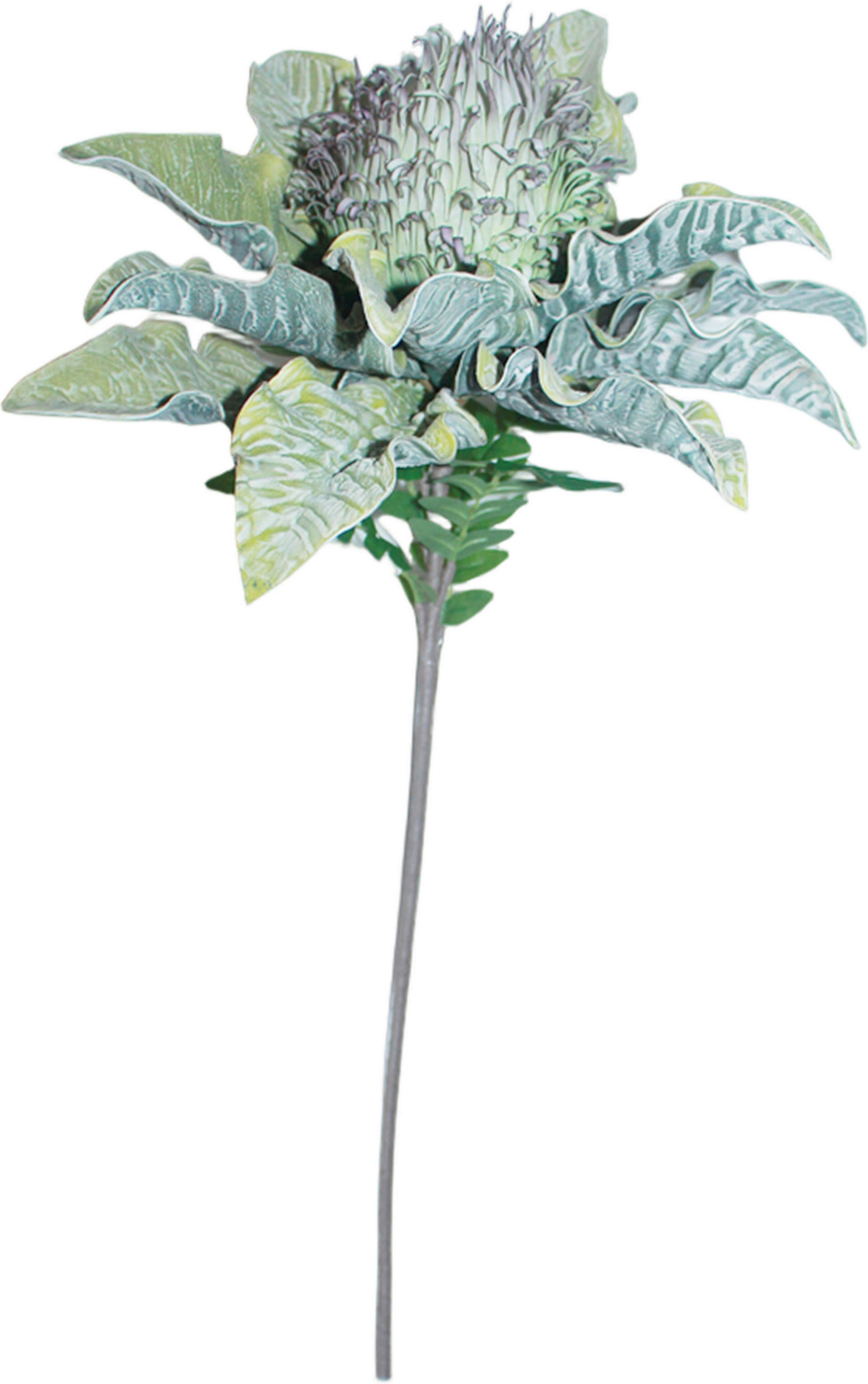 KUNSTBLUME  - Braun/Grün, Basics, Kunststoff/Metall (77cm) - Ambia Home