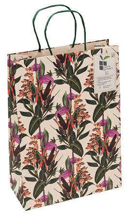 GESCHENKTASCHE  - Basics, Papier (22/31/10cm)
