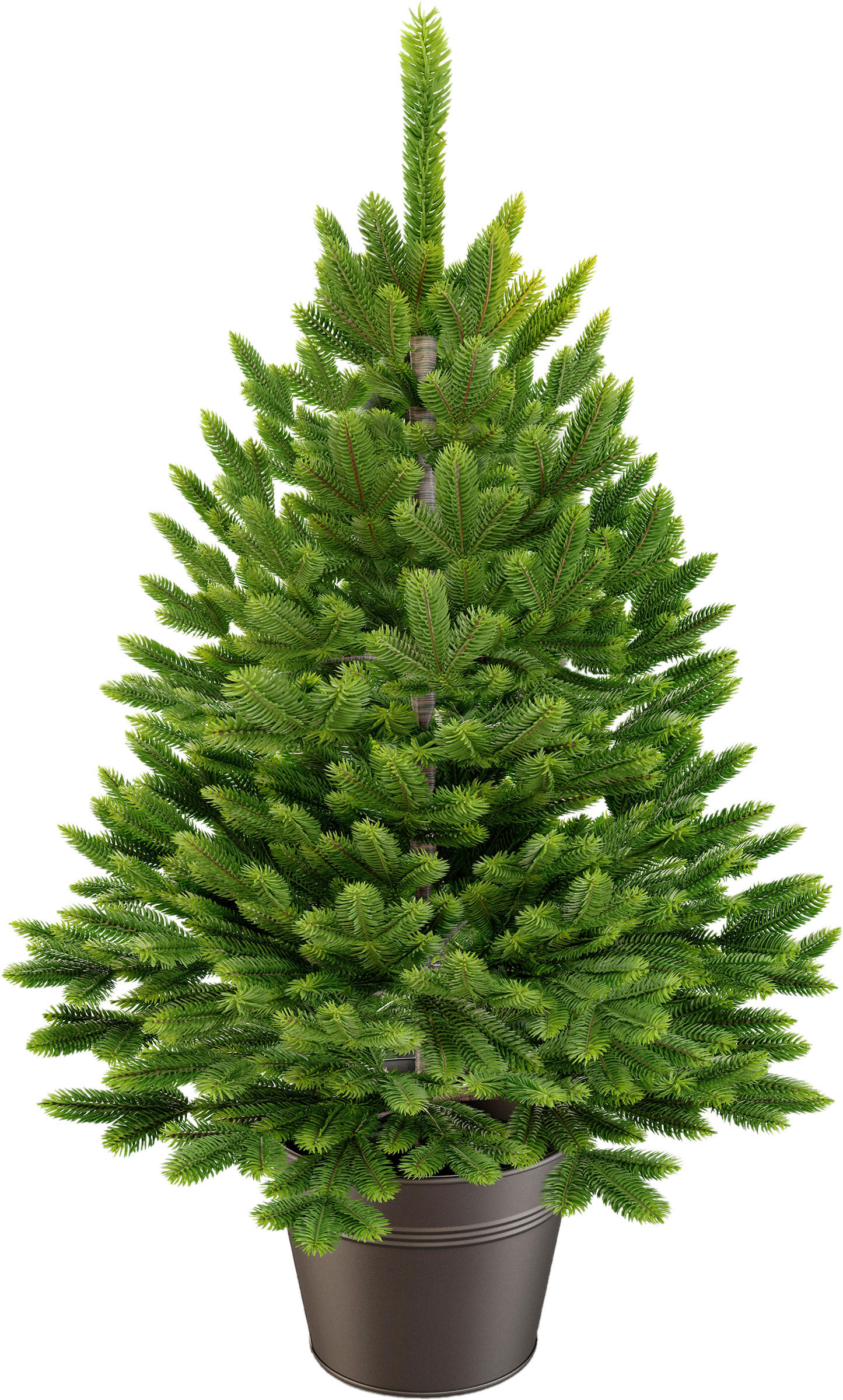 WEIHNACHTSBAUM 60 cm  - Anthrazit/Grün, Basics, Kunststoff/Metall (55/60cm)