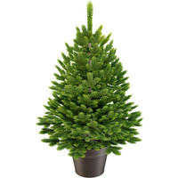 WEIHNACHTSBAUM 60 cm  - Anthrazit/Grün, Basics, Kunststoff/Metall (55/60cm)