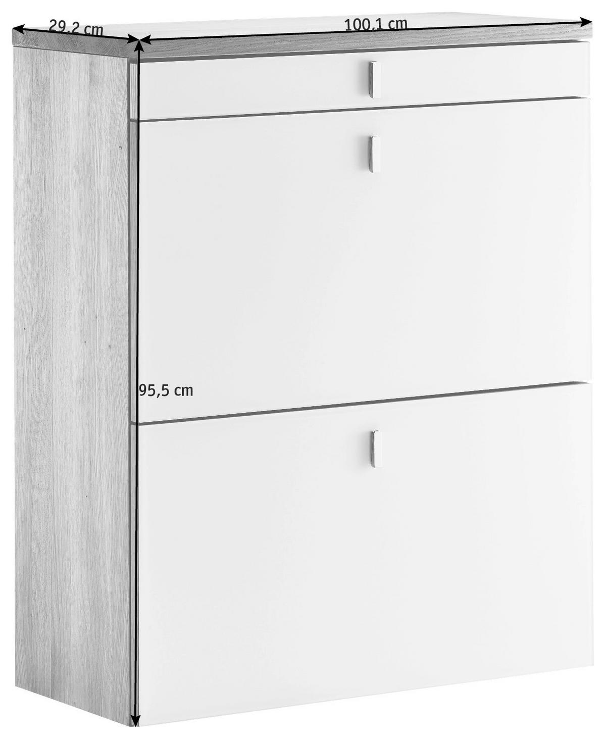 SCHUHKIPPER  in 100,1/95,5/29,2 cm  - Edelstahlfarben/Erlefarben, Design, Glas/Holz (100,1/95,5/29,2cm) - TEAM 7