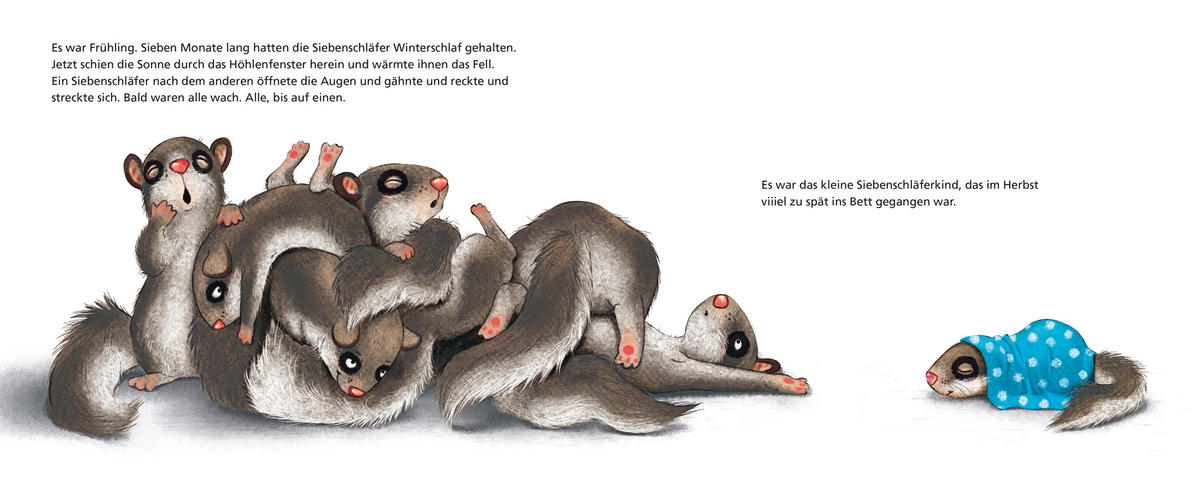 BILDERBUCH - Basics (17/20,7/2,1cm)