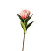 PROTEA Protea  - Pink/Rosa, Basics, Kunststoff (65cm)