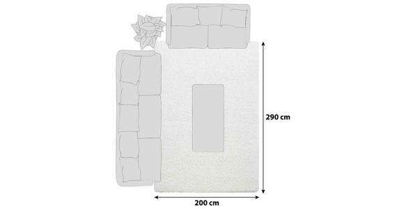 HOCHFLORTEPPICH 200/290 cm Dream 4000  - Creme, Basics, Textil (200/290cm) - Novel